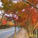 안덕중학교 이미지