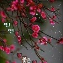 프랭크버거포항 이미지