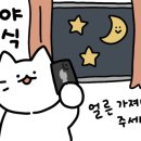 덮밥90도씨 이미지