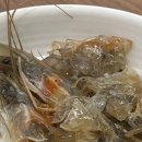 백년손님서서갈비청주점 이미지