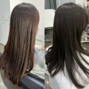 디오프라자 | 해운대 장산역 미용실 추천 염색 잘하는곳 디오룸헤어