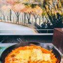 내장산국립공원 내장호야영장 이미지