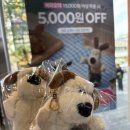 이삭토스트부천시청역점 이미지