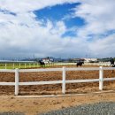 악양 승마장 이미지