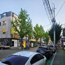 토지금고시장앞(37509) | 24시 인천 용현동 맛집 동이집 갈비탕 곰탕, 수제만두후기