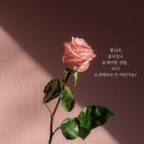 실버폰나라 이미지