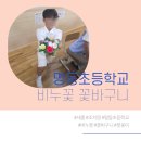 조치원명동초등학교 이미지