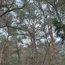 석굴암농장 이미지