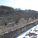 중앙탑면사무소 이미지