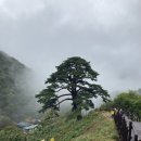 큰솔가든 이미지