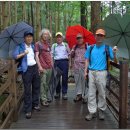 명산 당구장 이미지