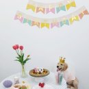 탄앤쿠키 이미지