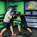 사우스포 복싱클럽 이미지