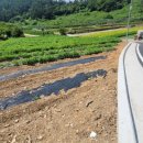 (경남고성부동산) 하이면/ 바닷가 인근계획관리 밭 매매 / 1,628제곱미터(492)/2억5천만원 이미지