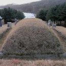 송산조견선생묘 이미지