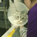 천동물병원 이미지