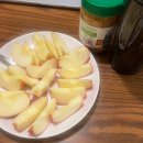 e-당구클럽 | 교환학생 살아남기 Week 21&amp;22 (02.06~02.19)