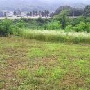 양지-3521 이미지