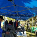 거북공원-1 이미지