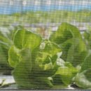 마장농장 이미지