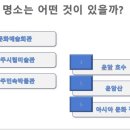 참다운공인중개사사무소 네이버블로그