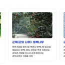 파도의숨결 | [지명사전] 남도답사 일번지이자 청자·다산의 숨결이 깃든 곳, 강진(康津)