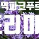 화서역파크푸르지오시니어룸 네이버블로그