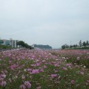 시낭