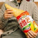 팔도비빔밥 티스토리