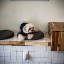 리츠펫 이시아폴리스점 이미지