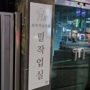 부산 금정구 화실 릴작업실 유화수업 후기, 고양이 그리기