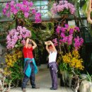 잉꼬떡집 이미지