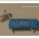 거진에코다이빙 리조트