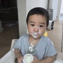 12개월 아기 발달 아기 오메가3 추천 지니어스뉴 내돈내산 장기 복용 후기