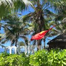 카페마이아 | 다낭 미케비치 바 펍 카페 마이아 비치바 Maia Beach Bar 메뉴 후기