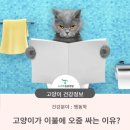 청학동물병원 이미지