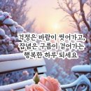 연신유도체육관 네이버블로그