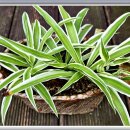 보름달 민박 이미지