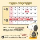 부천 소품샵 &#39;팅팅 (EIOEIO)&#39; 후기: 산리오 피규어 성지 끝판왕