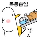 시원회