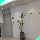 라벨라수 | 울산브라질리언왁싱 잘하는 라벨라왁싱 울산본점에서의 경험