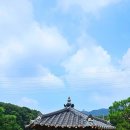 초막골 - 안성시 | 초막골