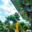 보덕사 소장 목조여래좌상 이미지