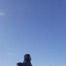카프리애월민박 이미지