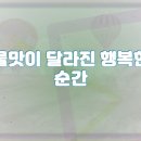 점촌동 | 문경시 점촌동 코웨이 얼음정수기 렌탈 교환 솔직 후기