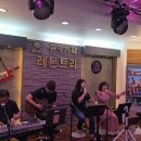 엘프 919 반주기, 통기타와 전자올겐 연주 이미지
