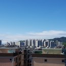 호꿀이네 이미지