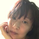 둥지여인숙 Daum카페