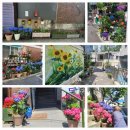 산골마을 이미지