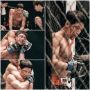 파파피나 이미지